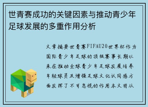 世青赛成功的关键因素与推动青少年足球发展的多重作用分析