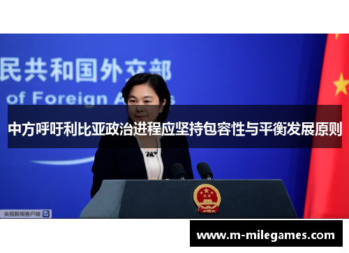 中方呼吁利比亚政治进程应坚持包容性与平衡发展原则