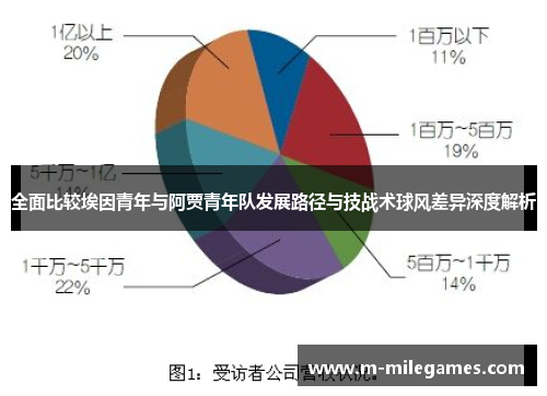全面比较埃因青年与阿贾青年队发展路径与技战术球风差异深度解析 全面比较埃因青年与阿贾青年队发展路径与技战术球风差异深度解析
